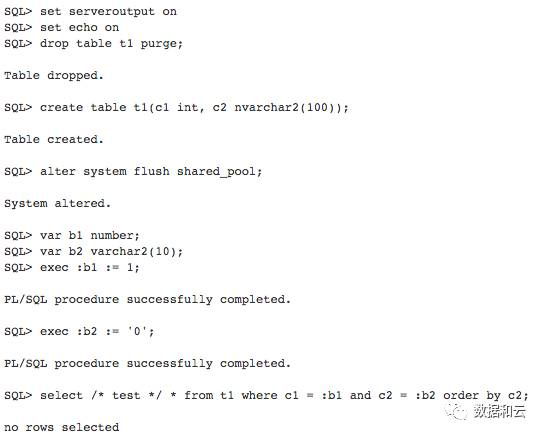 Oracle 数据库之最：你见过最高的 SQL Version 是多少？
