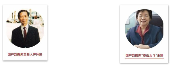 国产数据库代表人物